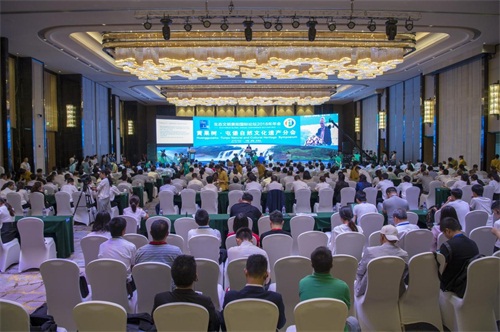 語(yǔ)言橋翻譯,會(huì)展服務(wù)