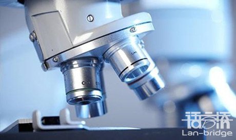 中文檢測報(bào)告翻譯成英文