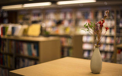 圖書(shū)翻譯_書(shū)籍翻譯